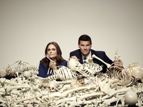 Imagen de Bones (T9) - 9
