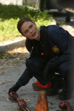 Imagen de Bones (T9): Ep.2 El tramposo en el retiro - 8