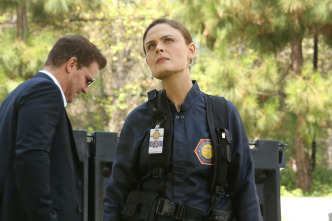 Imagen de Bones (T9): Ep.2 El tramposo en el retiro - 9