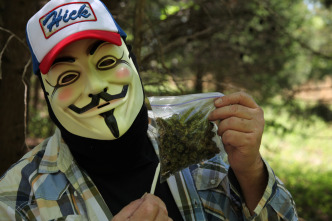 Imagen de El negocio de la droga  - 9