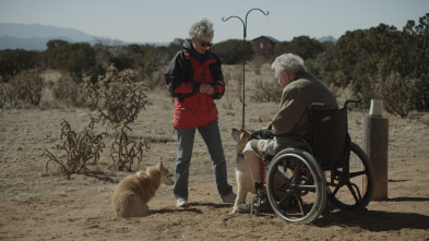 Imagen de Las mayores catástrofes naturales - 6