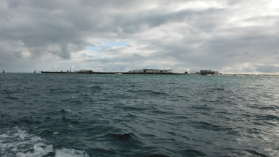 Imagen de Wild Hawaii  - 1