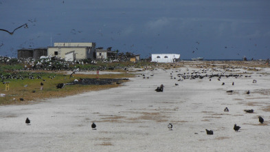 Imagen de Wild Hawaii  - 4