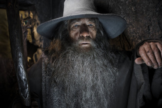 Imagen de El hobbit: La desolación de Smaug - 11