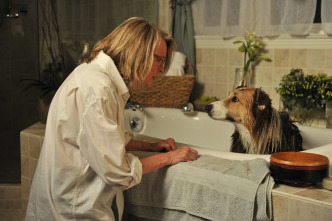 Imagen de ¡Por fin solos! - 11