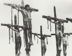 Imagen de La vida de Brian - 13