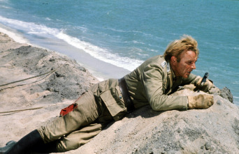 Imagen de Comando en el desierto - 4