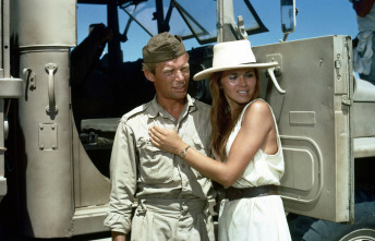Imagen de Comando en el desierto - 6