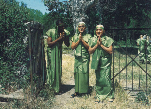 La Lola nos lleva al huerto