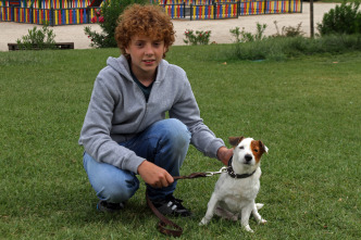 Imagen de Pancho, el perro millonario - 11