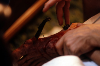 Imagen de Slugs, muerte viscosa - 11