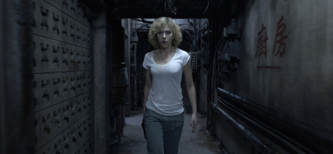 Imagen de Lucy - 11