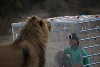 Imagen de Encerrado entre leones - 4