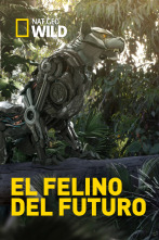 Imagen de El felino del futuro - 1