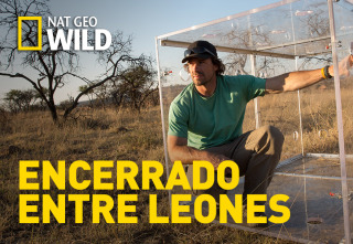 Imagen de Encerrado entre leones - 2