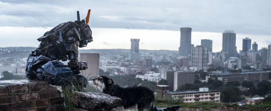 Chappie