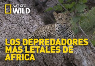 Imagen de Los depredadores más letales de África  - 2