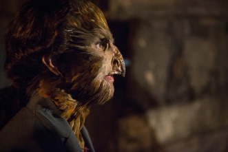 Imagen de Grimm (T5) - 11