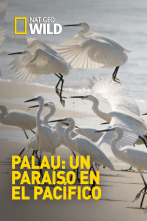 Imagen de Paraísos terrenales  - 2