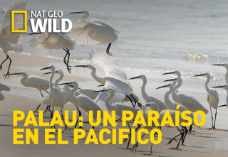 Imagen de Paraísos terrenales  - 13