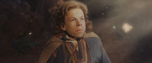 Imagen de Willow - 1