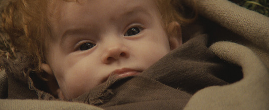 Imagen de Willow - 5