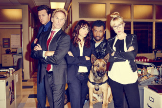 Angie Tribeca (T1)