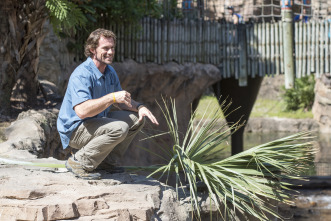 Imagen de En busca del rey de los felinos - 5