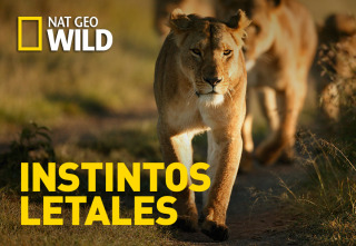 Imagen de Instintos letales  - 2