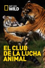 Imagen de El club de la lucha animal  - 1