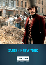 Imagen de Gangs of New York - 3