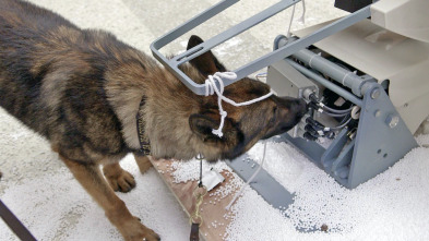 Imagen de Alerta Aeropuerto: Colombia  - 3