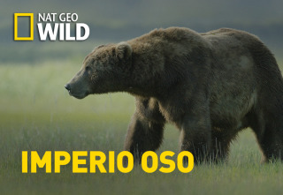 Imperio oso