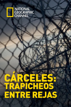 Imagen de Cárceles: Trapicheos entre rejas  - 1