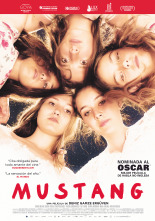 Imagen de Mustang - 3