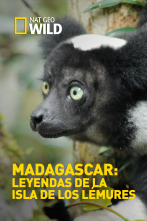 Madagascar: leyendas de la isla de los lémures