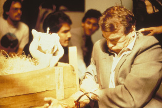 Imagen de Hidden (Lo oculto) - 3