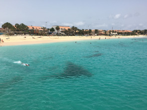 Imagen de De viaje: Sal, la isla de los mil peces - 2