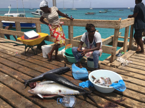 Imagen de De viaje: Sal, la isla de los mil peces - 3