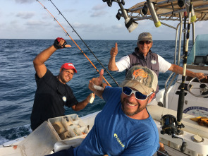 Imagen de De viaje: Sal, la isla de los mil peces - 5