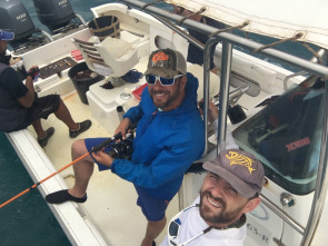 Imagen de De viaje: Sal, la isla de los mil peces - 6