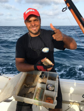 Imagen de De viaje: Sal, la isla de los mil peces - 8