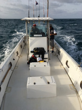 Imagen de De viaje: Sal, la isla de los mil peces - 9