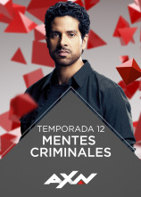 Imagen de Mentes criminales (T12) - 1