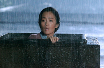 Imagen de Regreso a casa - Coming Home - 16