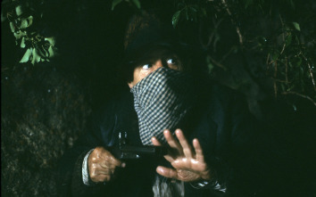 Imagen de El bosque animado - 8