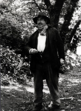 Imagen de El bosque animado - 10