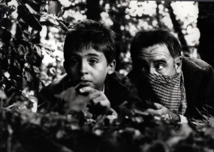 Imagen de El bosque animado - 11