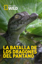 Imagen de La batalla de los dragones del pantano - 1