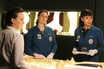 Imagen de Bones (T12) - 3